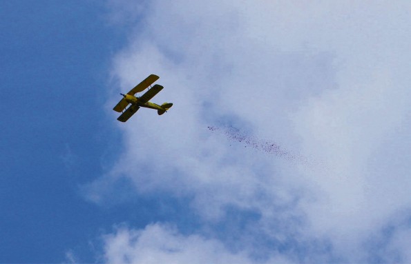 A Tiger Moth flies over the pitch, dropping 40,000 poppies into the sea