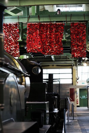 TRIBUTE: The poppies at Darlington's Head of Steam Museum Picture: STUART BOULTON