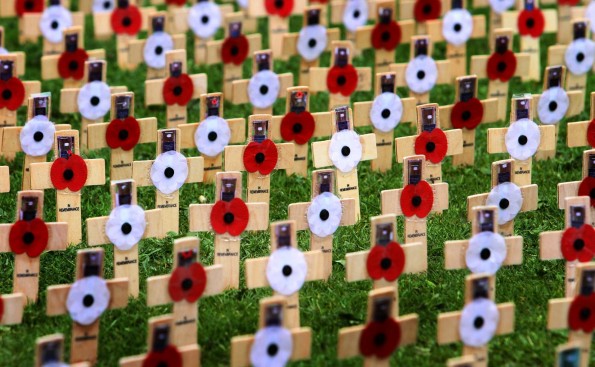 Crosses planted in remembrance