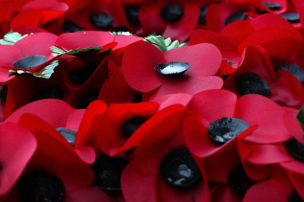 Poppies on the cenotaph at Middlesbrough