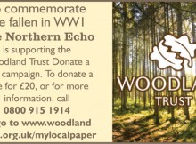WOODLAND TRUST: Donate a Tree campaign