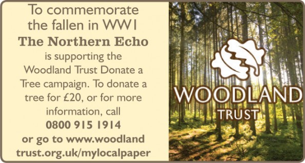 WOODLAND TRUST: Donate a Tree campaign